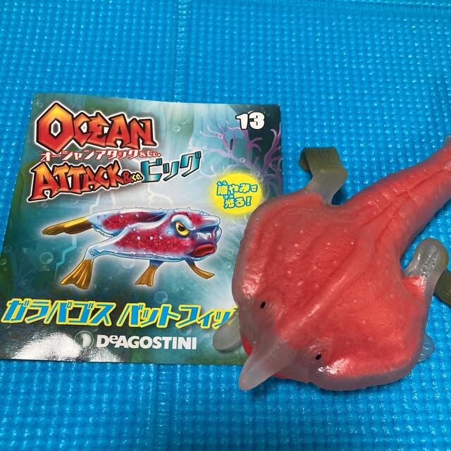 OCEANATTACK & co. ガラパゴスバットフィッシュ エンタメ/ホビーのフィギュア(その他)の商品写真