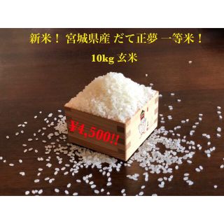 ☆いちご様専用☆令和3年宮城県産　だて正夢　一等米！玄米10kg(米/穀物)