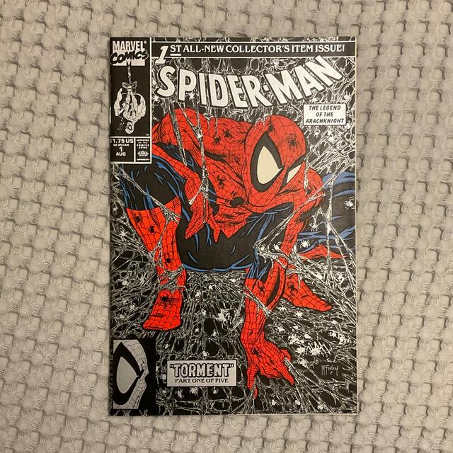 大幅値下げ!スパイダーマン 巨大ポスター | odmalihnogu.org