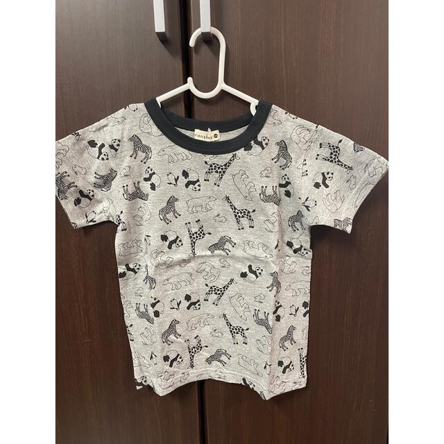 ブランシェス、Tシャツ キッズ/ベビー/マタニティのキッズ服男の子用(90cm~)(Tシャツ/カットソー)の商品写真