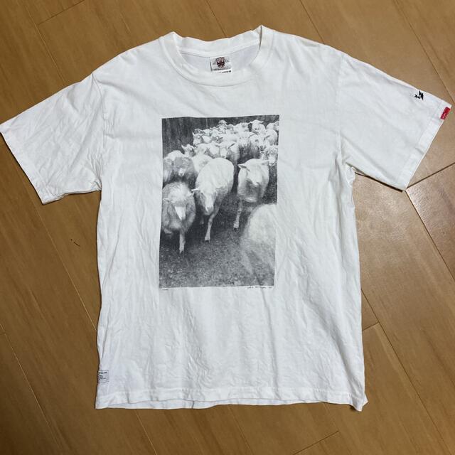 W)taps(ダブルタップス)のwtaps  フォトT sheep Mサイズ　富永よしえ メンズのトップス(Tシャツ/カットソー(半袖/袖なし))の商品写真