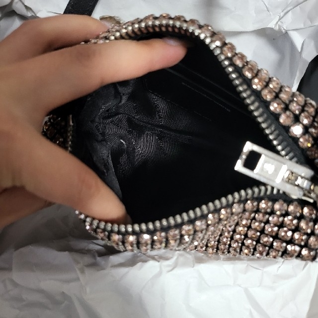 alexander wang heiress ラインストーンバッグ | livro.funcionalink