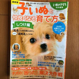 子犬のしつけ(犬)