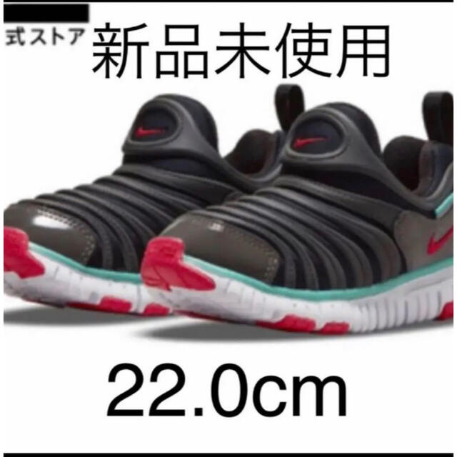 新品未使用　NIKE ナイキ　ダイナモフリー　22.0