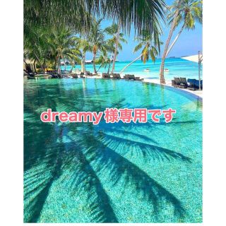 dreamy様専用です(バッグ)