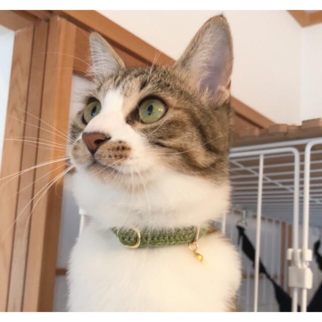 No.20かぎ針編み 猫にやさしいハンドメイド首輪(菜の花色モチーフ オリーブ)