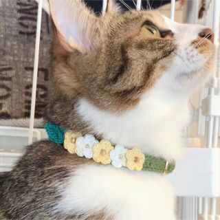 No.20かぎ針編み 猫にやさしいハンドメイド首輪(菜の花色モチーフ