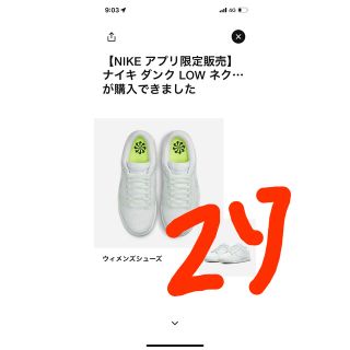 ナイキ(NIKE)のNike WMNS Dunk Low Next Nature ナイキ ダンク(スニーカー)