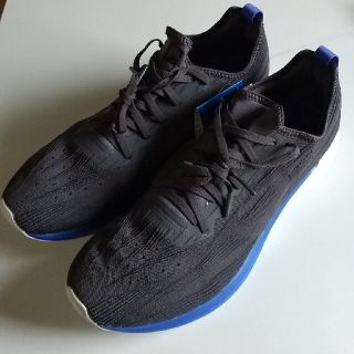 ミズノ(MIZUNO)のMIZUNO  ウエーブエアロ19(シューズ)