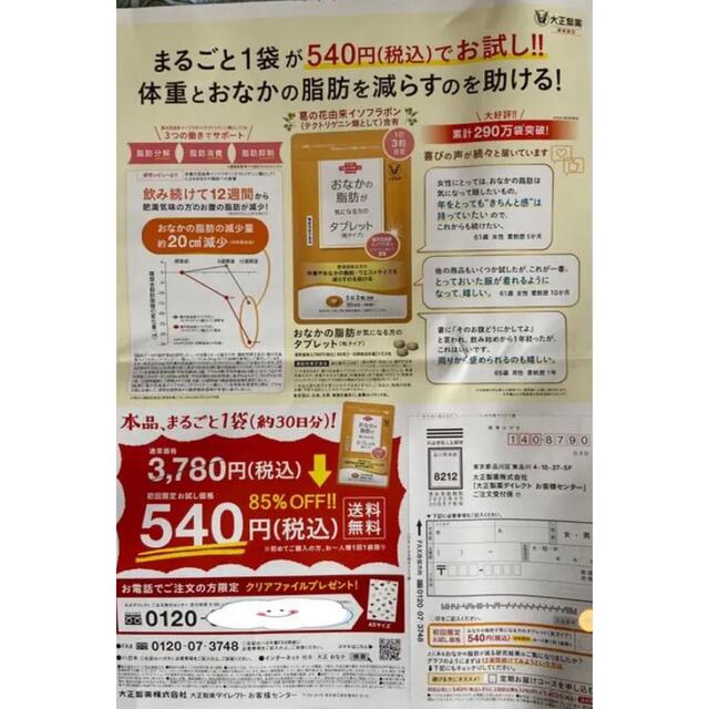 大正製薬(タイショウセイヤク)のおなかの脂肪が気になる方のタブレット  定価３７８０円→５４０円→申込用紙１枚 コスメ/美容のダイエット(ダイエット食品)の商品写真