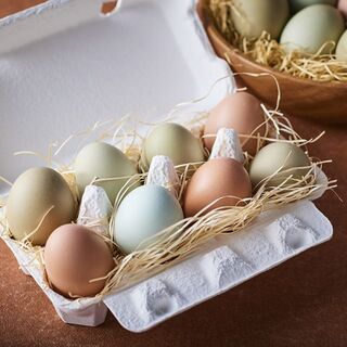 ～彩鮮やかなカラフル卵～ 北海道 水芭蕉卵 （みずばしょうらん） 16個(その他)