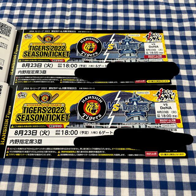 ライトニングボルト 阪神タイガース 横浜DeNAベイスターズ 8月24日 ライト外野指定席 チケット 通販 26松本山雅B席ペア