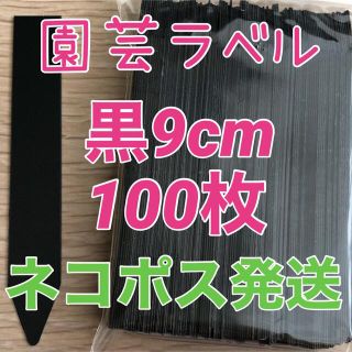 園芸ラベル　黒　9センチ 100枚 ブラック(その他)