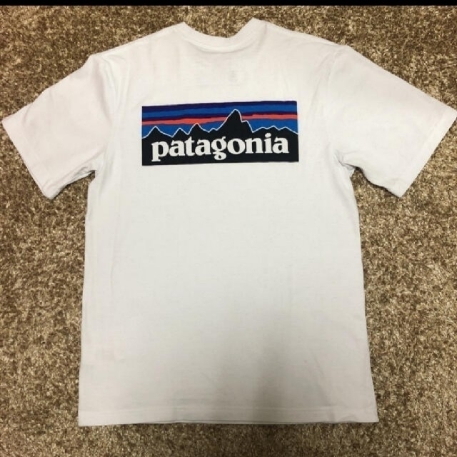 patagonia(パタゴニア)のチャオ様専用 パタゴニア Tシャツ レスポンシビリティー 白 XS ホワイト メンズのトップス(Tシャツ/カットソー(半袖/袖なし))の商品写真