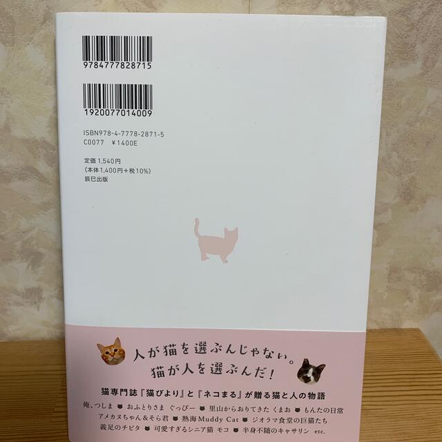 猫にひろわれた話 エンタメ/ホビーの本(文学/小説)の商品写真