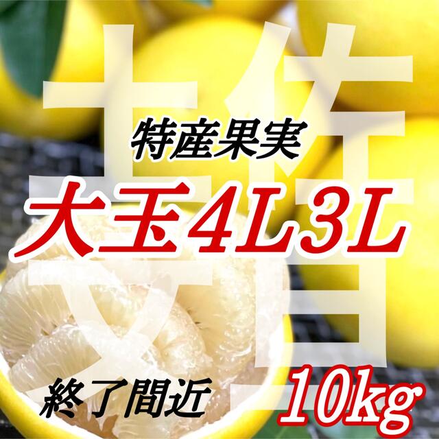 土佐文旦4L3L 10kg