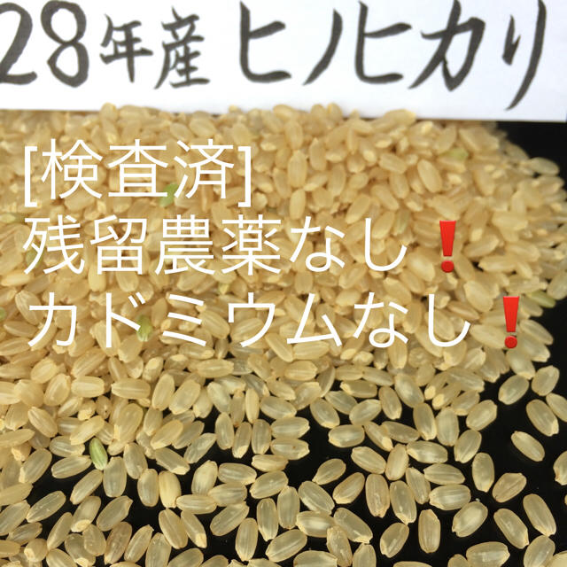 RIN様専用 [検査済]28年産玄米24kgヒノヒカリ 食品/飲料/酒の食品(米/穀物)の商品写真