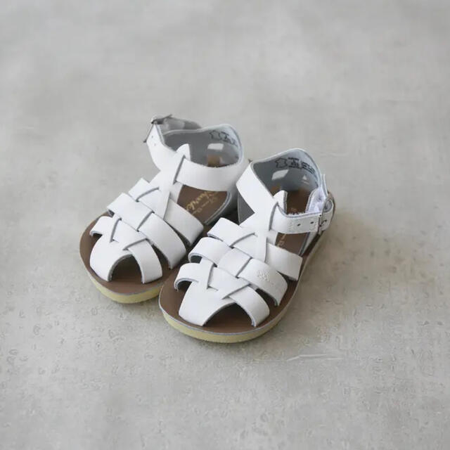SALT WATER SANDALS shark - evc.co.il