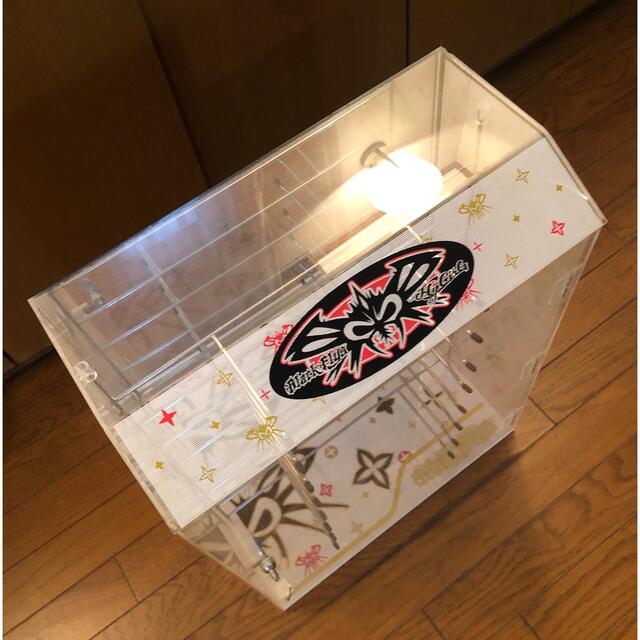 最終値下げ BLACKFLY ブラックフライ サングラスケース ショー 最終値下げ BLACKFLY ブラックフライ サングラスケース ショー