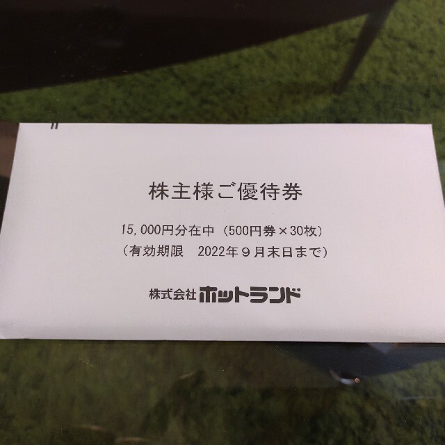 ホットランド株主優待券15000円分 100%品質 38.0%割引 www