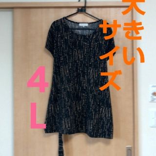 大きいサイズ ４Ｌ チュニック(チュニック)