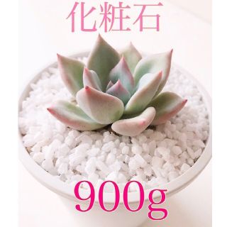 寒水石 (化粧石) 4mm❤900g❤純白色最高級寒水石　白　多肉　観葉　寒水砂(その他)