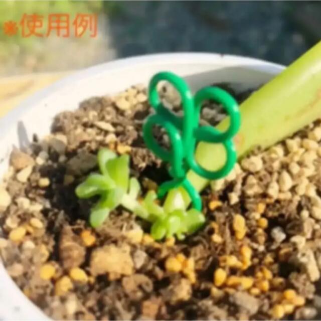 ハート 形 (赤)　多肉 植物　ランナー ピン　ガーデンピック　葉挿し 押さえ ハンドメイドのフラワー/ガーデン(その他)の商品写真