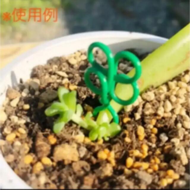 ハート 形 (水色)　多肉 植物　ランナー ピン　ガーデンピック　葉挿し 押さえ ハンドメイドのフラワー/ガーデン(その他)の商品写真