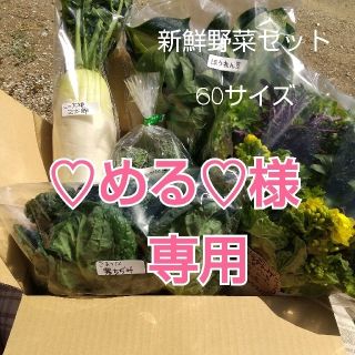 新鮮野菜【畑〜直送野菜セット♪数量限定】60サイズ(野菜)