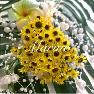 スターフラワー ブロッサム 向日葵カラー 60輪 ハーバリウム花材(ドライフラワー)