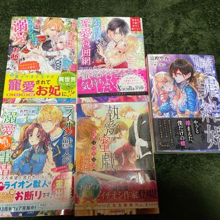 ★SALE★贖罪結婚、執愛蜜戯、過保護な公爵様の蜜愛包囲網、他　ＴＬ小説　計５冊(文学/小説)