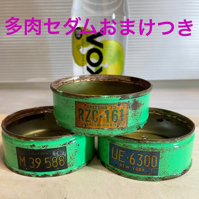 リメイク缶 リメ缶3個セット 多肉セダムおまけつきの通販 by おはちゅ