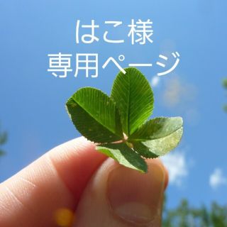 はこ様専用ページ(野菜)