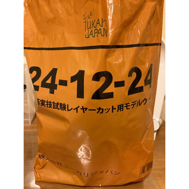 美容師国家試験 レイヤーカット用ウィッグ ユーカリジャパン 5体 美容師国家試験 レイヤーカット用ウィッグ ユーカリジャパン 5体