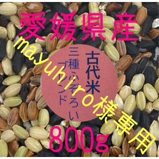 mayuhiro様専用　古代米3種ふぞろいブレンド　愛媛県産　800ｇ×2(米/穀物)