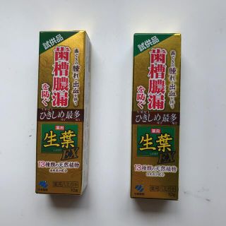 コバヤシセイヤク(小林製薬)の生葉EX　試供品　１０g X ３　小林製薬(歯磨き粉)