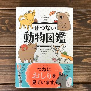 ダイヤモンドシャ(ダイヤモンド社)の【美品】「せつない動物図鑑」(絵本/児童書)