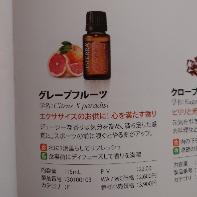 doTERRA(ドテラ)のKさま　専用 コスメ/美容のリラクゼーション(アロマオイル)の商品写真