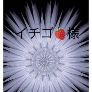 イチゴ🍓様専用(セット/コーデ)