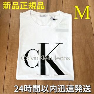 カルバンクライン(Calvin Klein)のカルバンクライン　新品　Tシャツ　CK ビッグロゴ　トミーヒルフィガー　好きに(Tシャツ/カットソー(半袖/袖なし))