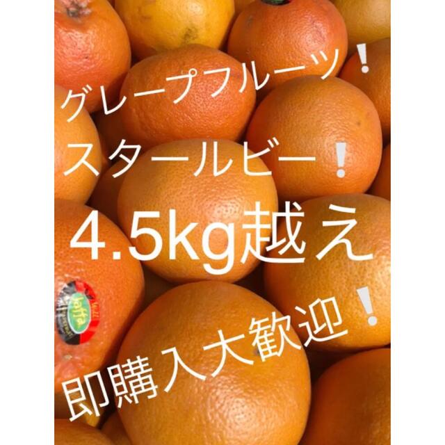 グレープフルーツ　スタールビー　4.5kg越え 食品/飲料/酒の食品(フルーツ)の商品写真