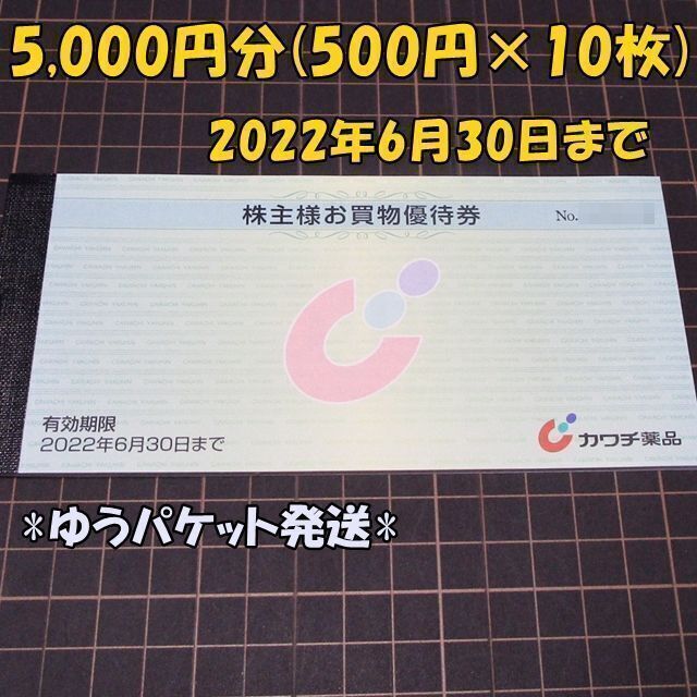 カワチ薬品 株主優待券1冊(5000円分)◇2022/6/30迄 | svetinikole.gov.mk