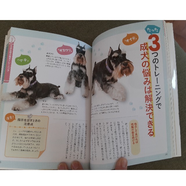 BOOK📖 エンタメ/ホビーの本(住まい/暮らし/子育て)の商品写真