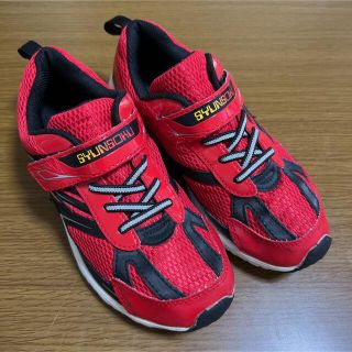 アキレス(Achilles)の瞬足　スニーカー　22.5cmEE(スニーカー)