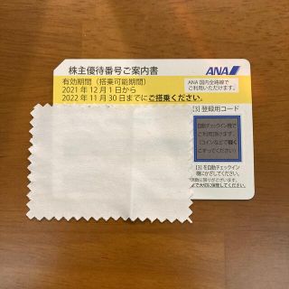 エーエヌエー(ゼンニッポンクウユ)(ANA(全日本空輸))のANA株主優待券1枚　有効期間2022年11月30日(その他)