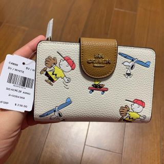 コーチ(COACH)の本体のみ　少し訳あり　コーチ　　二つ折り財布　スポーティ　(財布)