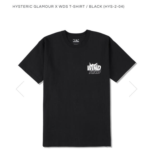 HYSTERIC GLAMOUR(ヒステリックグラマー)のHYSTERIC GLAMOUR X WDS T-SHIRT Tシャツ L メンズのトップス(Tシャツ/カットソー(半袖/袖なし))の商品写真