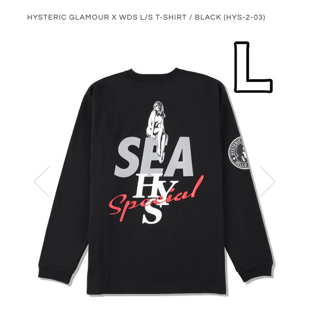 HYSTERIC GLAMOUR X WDS L/S T-SHIRT ロンT LLサイズ状態