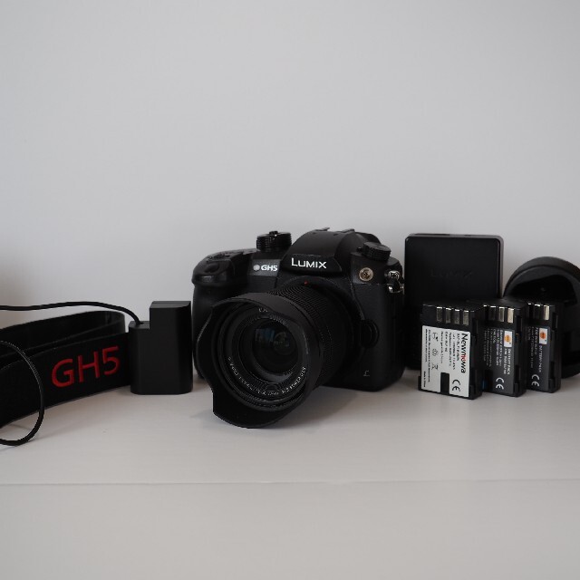 限定価格セール！ Panasonic - Panasonic DC−GH5 DC-GH5-K ミラーレス