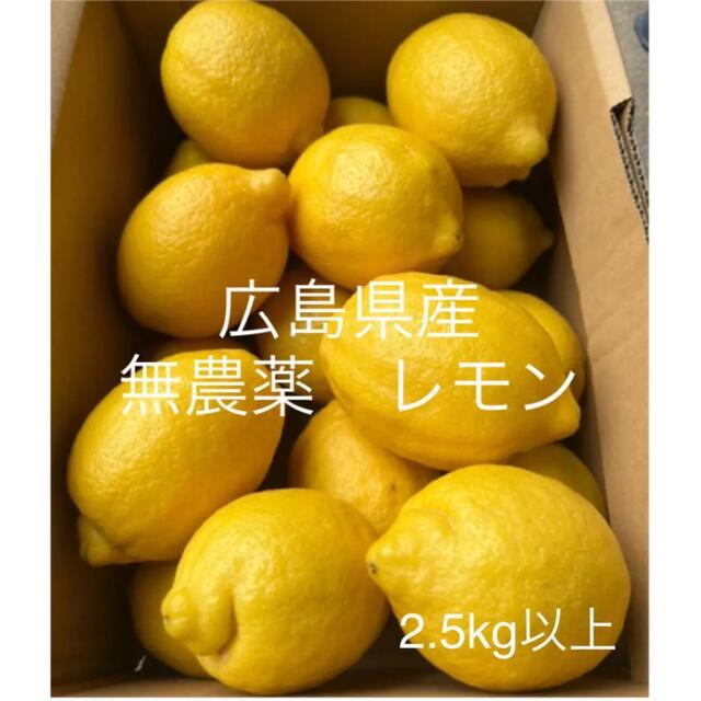 国産　レモン　広島県産　無農薬　レモン　瀬戸内レモン　2.5kg以上  産地直送 食品/飲料/酒の食品(フルーツ)の商品写真